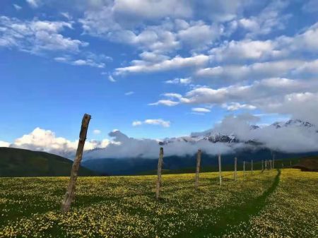三湖深度游——五彩滩、禾木、喀纳斯、魔鬼城、赛里木湖