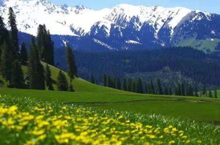 五彩滩、禾木、喀纳斯、魔鬼城、赛里木湖、那拉提、巴音布鲁克