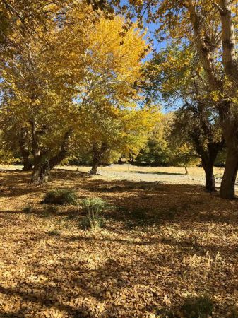 【郑重承诺】真纯玩不加点,景点玩的好，行程不虚报！