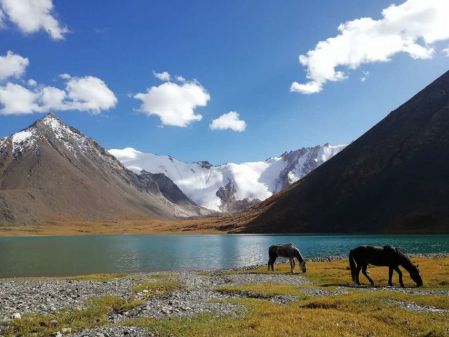 五彩滩 喀纳斯湖 禾木村 魔鬼城 赛里木湖 那拉提 巴音布鲁克 轮台胡杨林 库车大峡谷 喀什老城 卡拉库里湖 克孜尔千佛洞